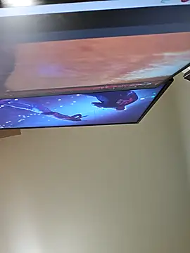 xx21cm online show from 12.13.24