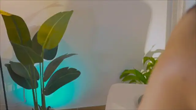 anabelcurvy online show from 02.06.25