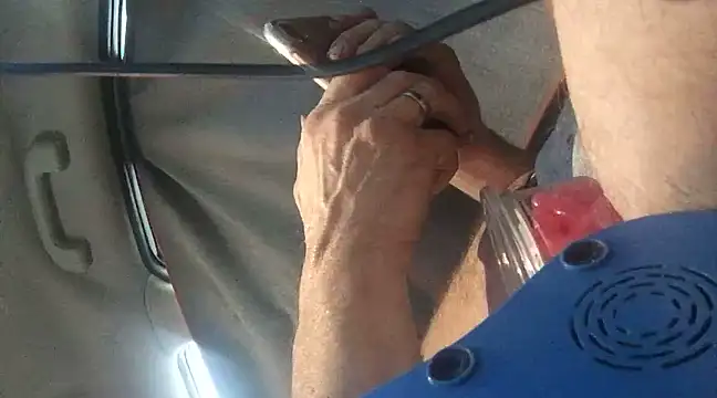 Likewise online show from 12.29.24