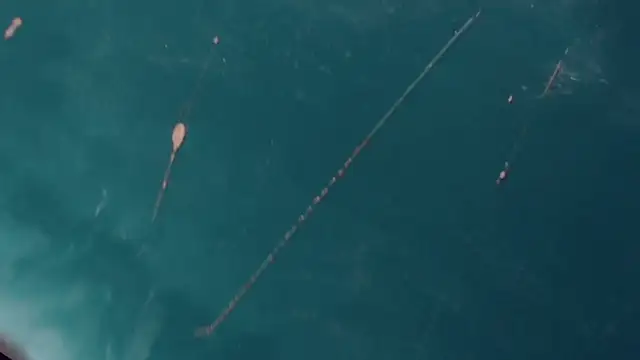 CharlotteBigCock online show from 01.12.25