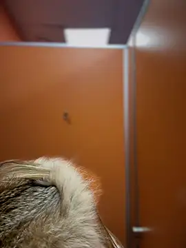 pinkstar  online show from 02.24.25