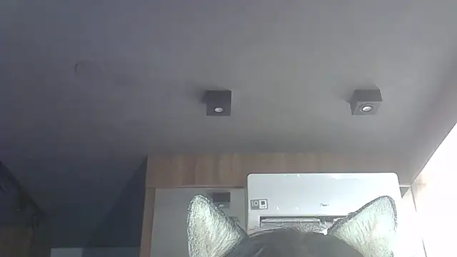 Skinny-Kitten online show from 12.03.25