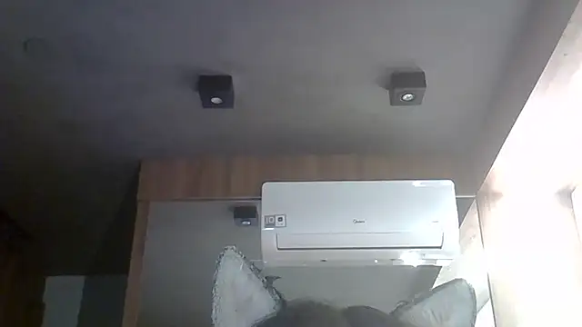 Skinny-Kitten online show from 01.05.26