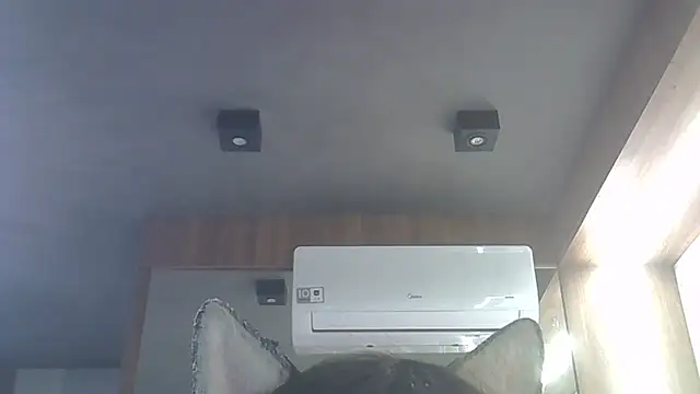 Snapshot of Skinny-Kitten chatting on 01.16.26 Skinny-Kitten online show from 01.16.26