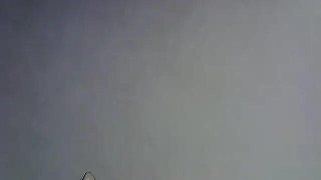 Snapshot of Skinny-Kitten chatting on 01.16.26 Skinny-Kitten online show from 01.16.26