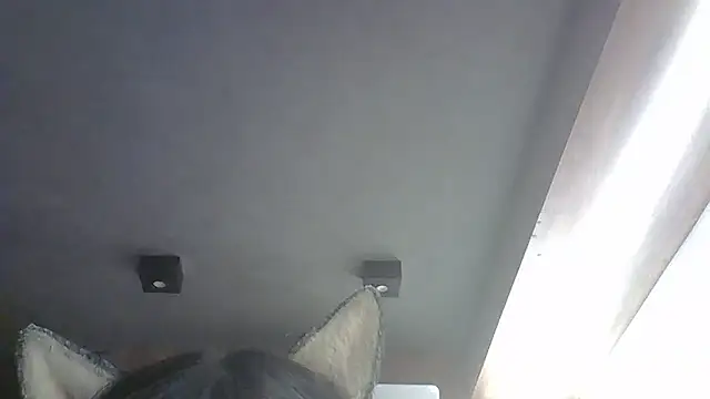 Snapshot of Skinny-Kitten chatting on 01.19.26 Skinny-Kitten online show from 01.19.26