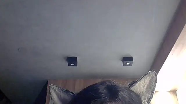 Snapshot of Skinny-Kitten chatting on 02.04.26 Skinny-Kitten online show from 02.04.26