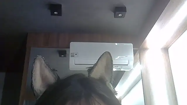 Snapshot of Skinny-Kitten chatting on 02.05.26 Skinny-Kitten online show from 02.05.26