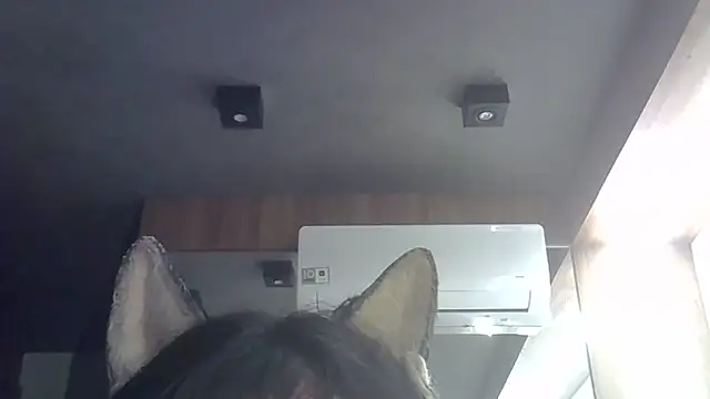 Snapshot of Skinny-Kitten chatting on 02.11.26 Skinny-Kitten online show from 02.11.26