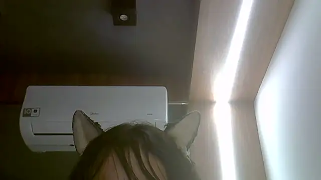 Snapshot of Skinny-Kitten chatting on 02.13.26 Skinny-Kitten online show from 02.13.26