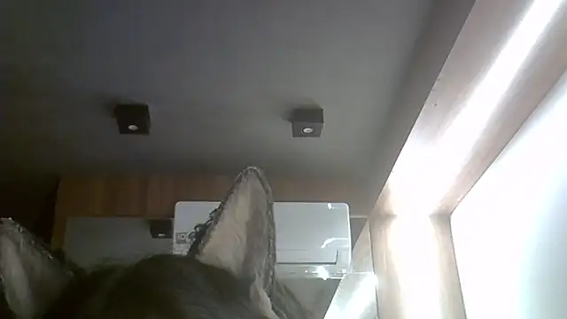 Snapshot of Skinny-Kitten chatting on 02.15.26 Skinny-Kitten online show from 02.15.26