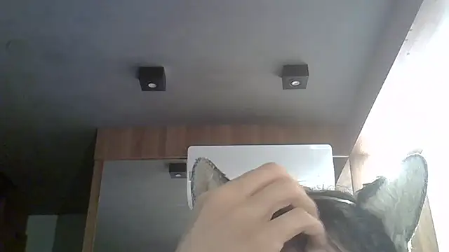 Snapshot of Skinny-Kitten chatting on 02.17.26 Skinny-Kitten online show from 02.17.26