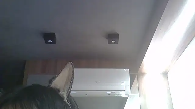 Snapshot of Skinny-Kitten chatting on 02.17.26 Skinny-Kitten online show from 02.17.26