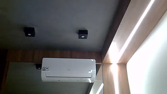 Snapshot of Skinny-Kitten chatting on 02.20.26 Skinny-Kitten online show from 02.20.26