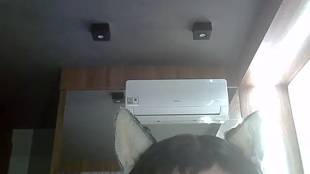 Snapshot of Skinny-Kitten chatting on 02.20.26 Skinny-Kitten online show from 02.20.26