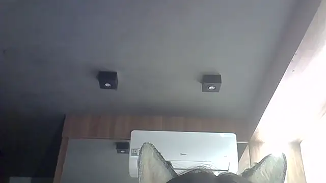 Snapshot of Skinny-Kitten chatting on 02.22.26 Skinny-Kitten online show from 02.22.26