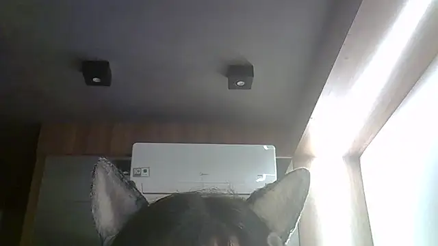 Skinny-Kitten online show from 03.27.26