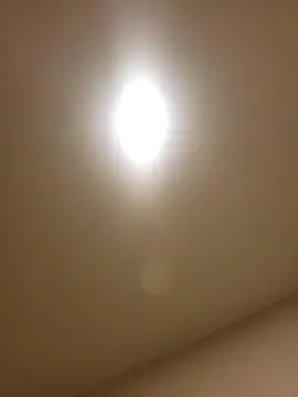 Snapshot of lofibunni chatting on 02.14.26 lofibunni online show from 02.14.26