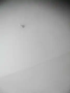 bestofyalcinturkey online show from 12.03.24