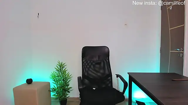 camille-rose online show from 01.22.25