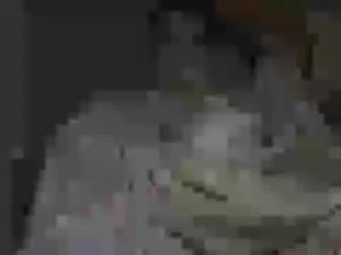 Snapshot of maxstelll chatting on 02.24.26 maxstelll online show from 02.24.26