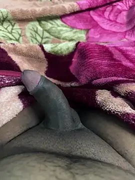 Snapshot of Honeydick7 chatting on 11.04.25 Honeydick7 online show from 11.04.25