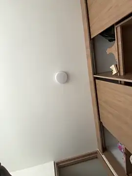 Nicollemays online show from 03.25.26