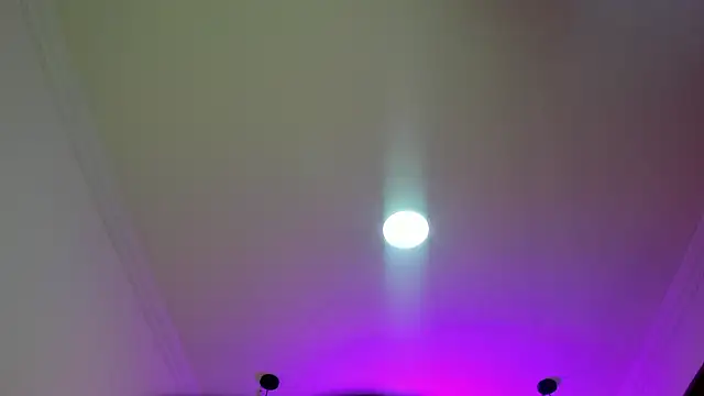 nalalye cruzz  online show from 03.08.26