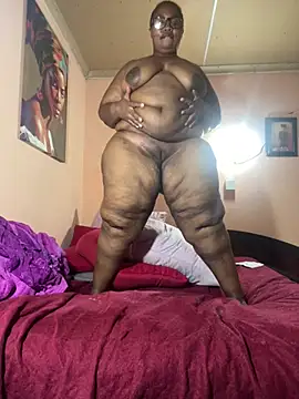 ZOQULUx online show from 03.02.25