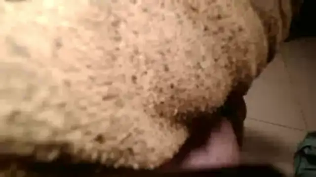 Dan3106x online show from 03.19.26