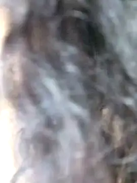 Doll Nepali online show from 12.29.24