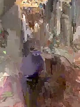 Terrafirma online show from 11.08.25