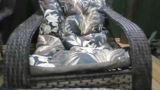 Kellynha Sweet online show from 12.21.25