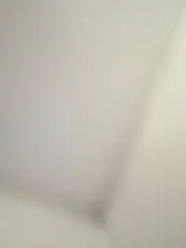 CelesteBailey online show from 09.26.25