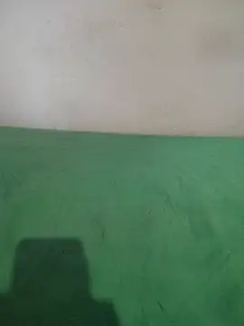  Scorpion  online show from 02.11.25