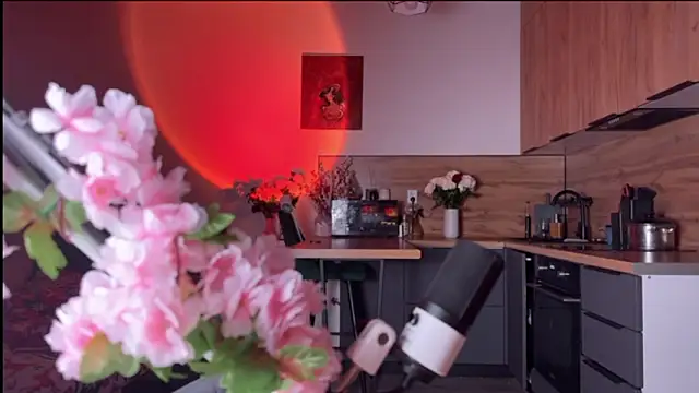 Snapshot of YourOblivion chatting on 02.24.26 YourOblivion online show from 02.24.26