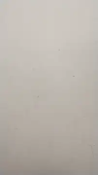 Shuttii 25 online show from 01.25.25