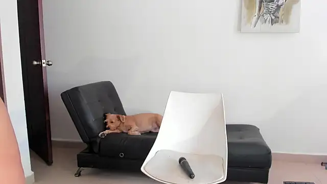 Snapshot of selene_king2 chatting on 12.10.24 selene king2 online show from 12.10.24