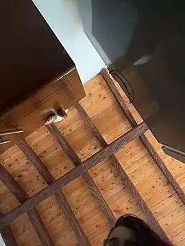 Alicia Ruiz online show from 12.12.24