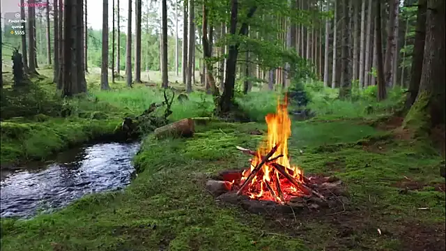 rusbigpaul online show from 02.12.25