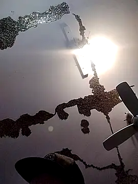 ColdVisitor online show from 03.21.25