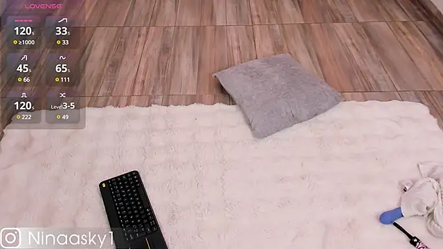 ninaa sky online show from 12.04.24