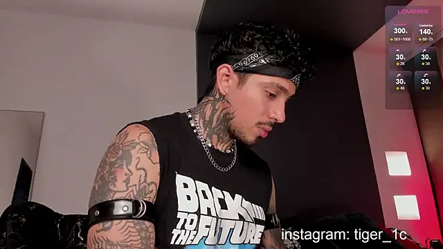 TigerStripes1  online show from 12.11.24