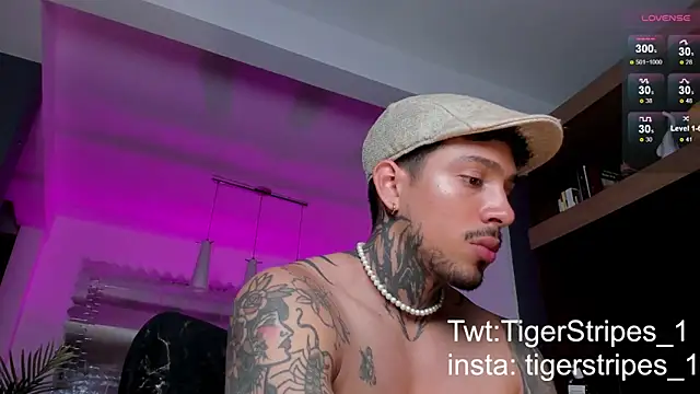 TigerStripes1  online show from 02.09.25