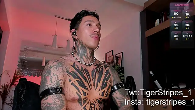 TigerStripes1  online show from 02.22.25