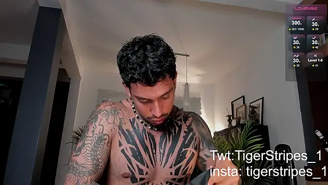 TigerStripes1  online show from 02.28.25