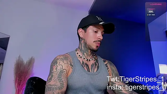 TigerStripes1  online show from 03.19.25