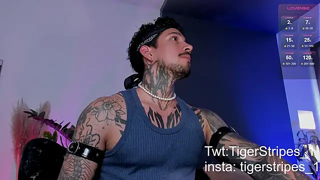 TigerStripes1  online show from 03.19.25