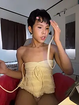 Plaxtique online show from 01.06.26