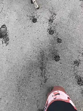 kvr27 online show from 02.24.26